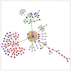 Planning for Big Data