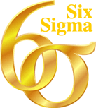 ERP and Six Sigma