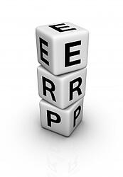 Extensibility of ERP Made Painless