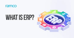 An ERP software comes with applications that streamline business functions such as production, accounting, and sales quoting