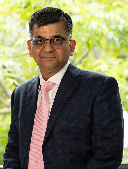 ramco-ceo-sundar